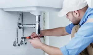 Plumber Dundas