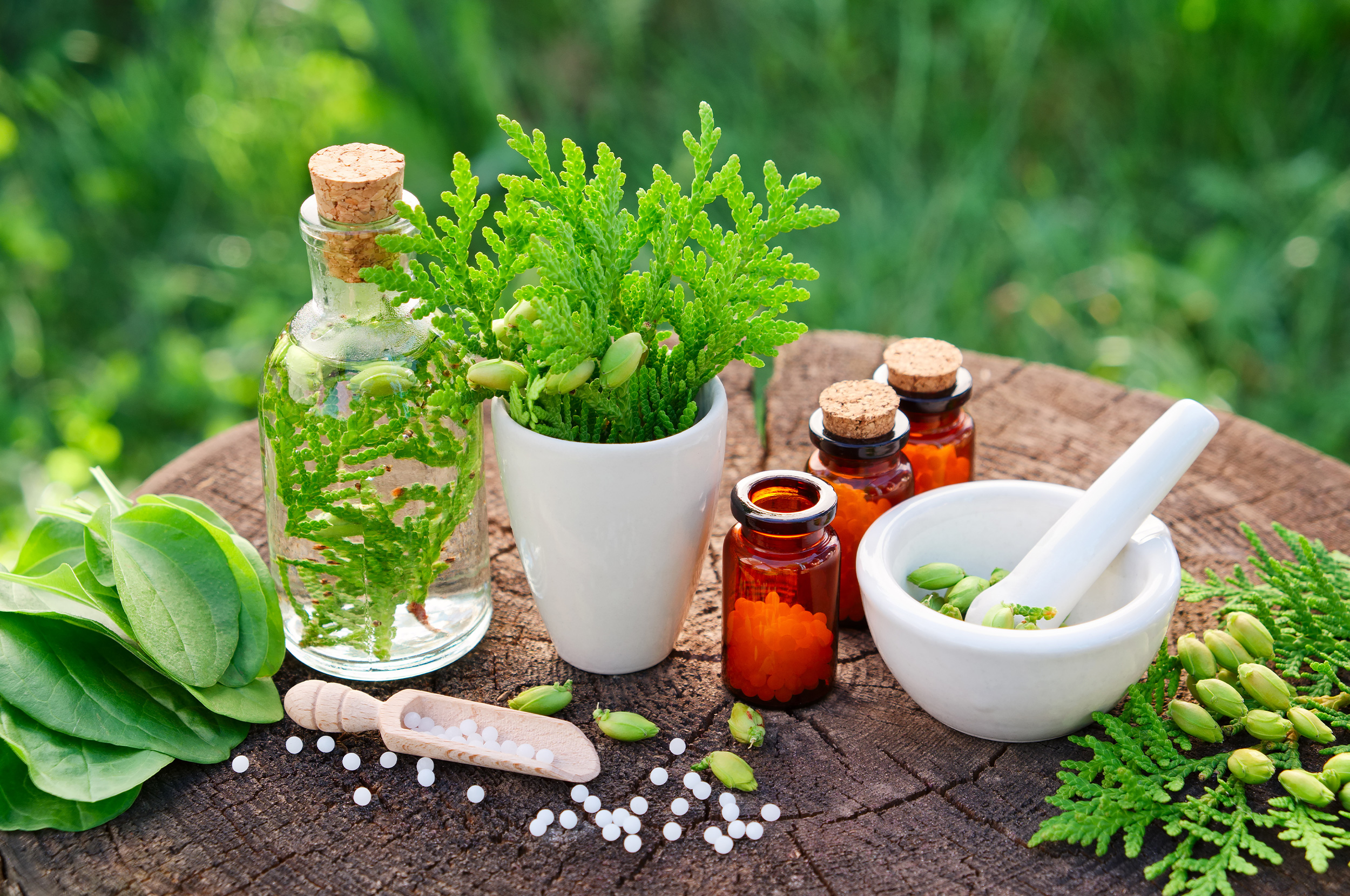 Naturopath Malvern