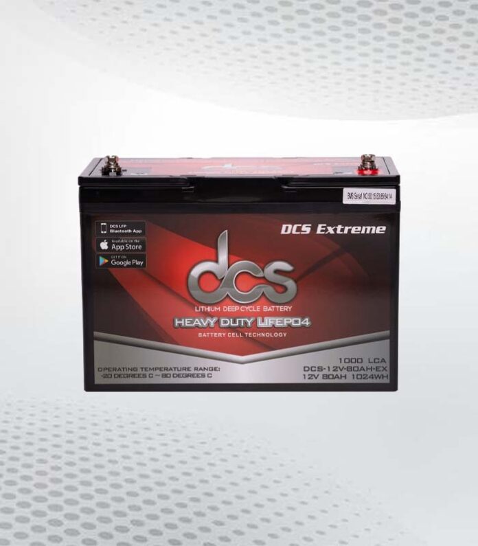 group 24 deep cycle battery