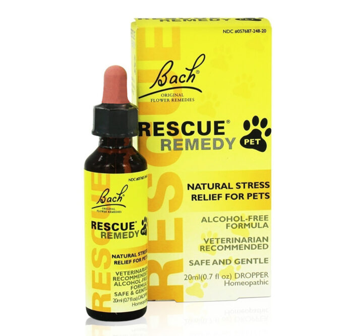 Bach Rescue Relief