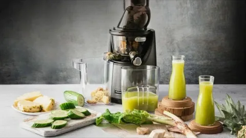 Kuvings Slow Juicer